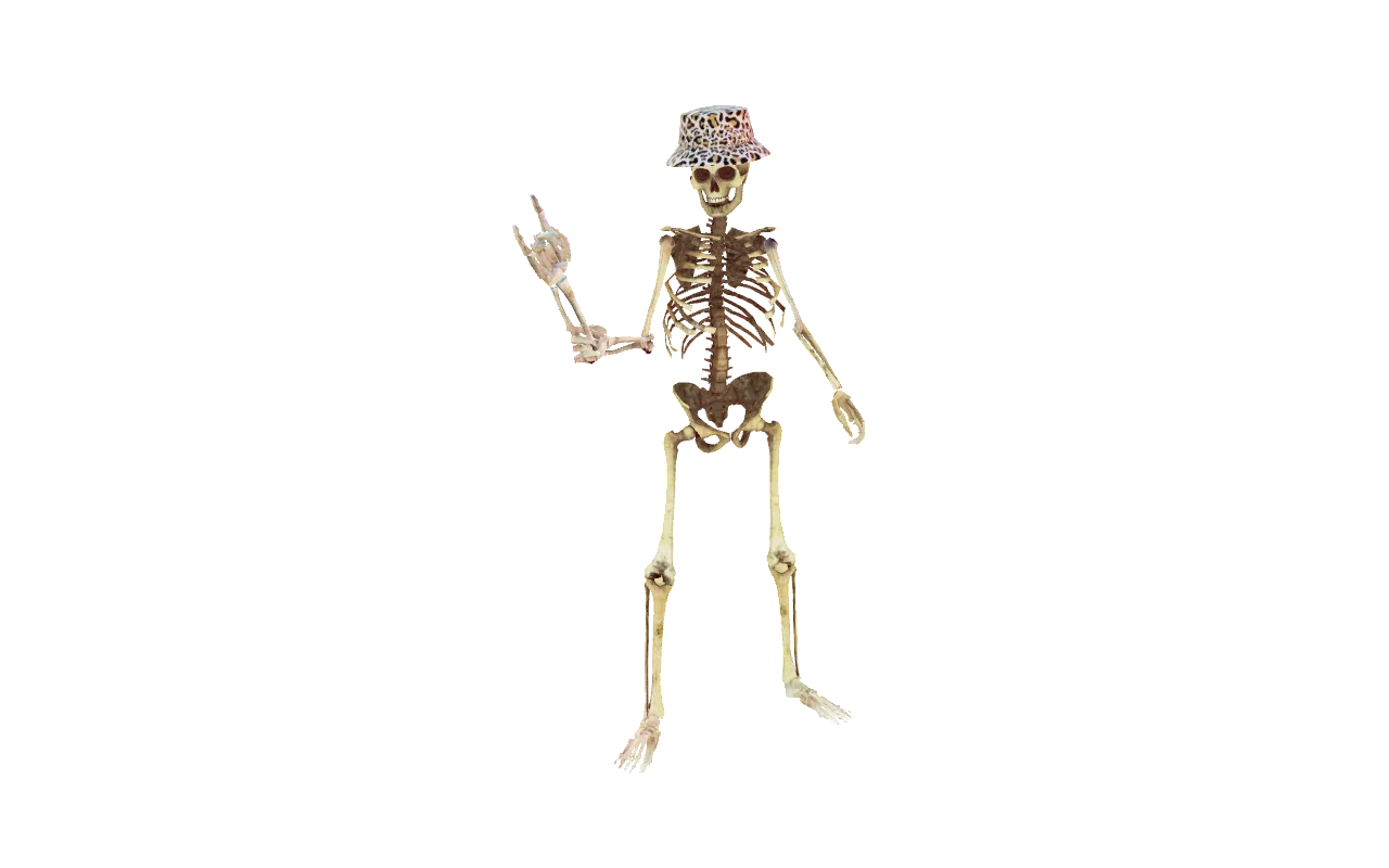 Sinclair but is skeleton with Leopard Hat