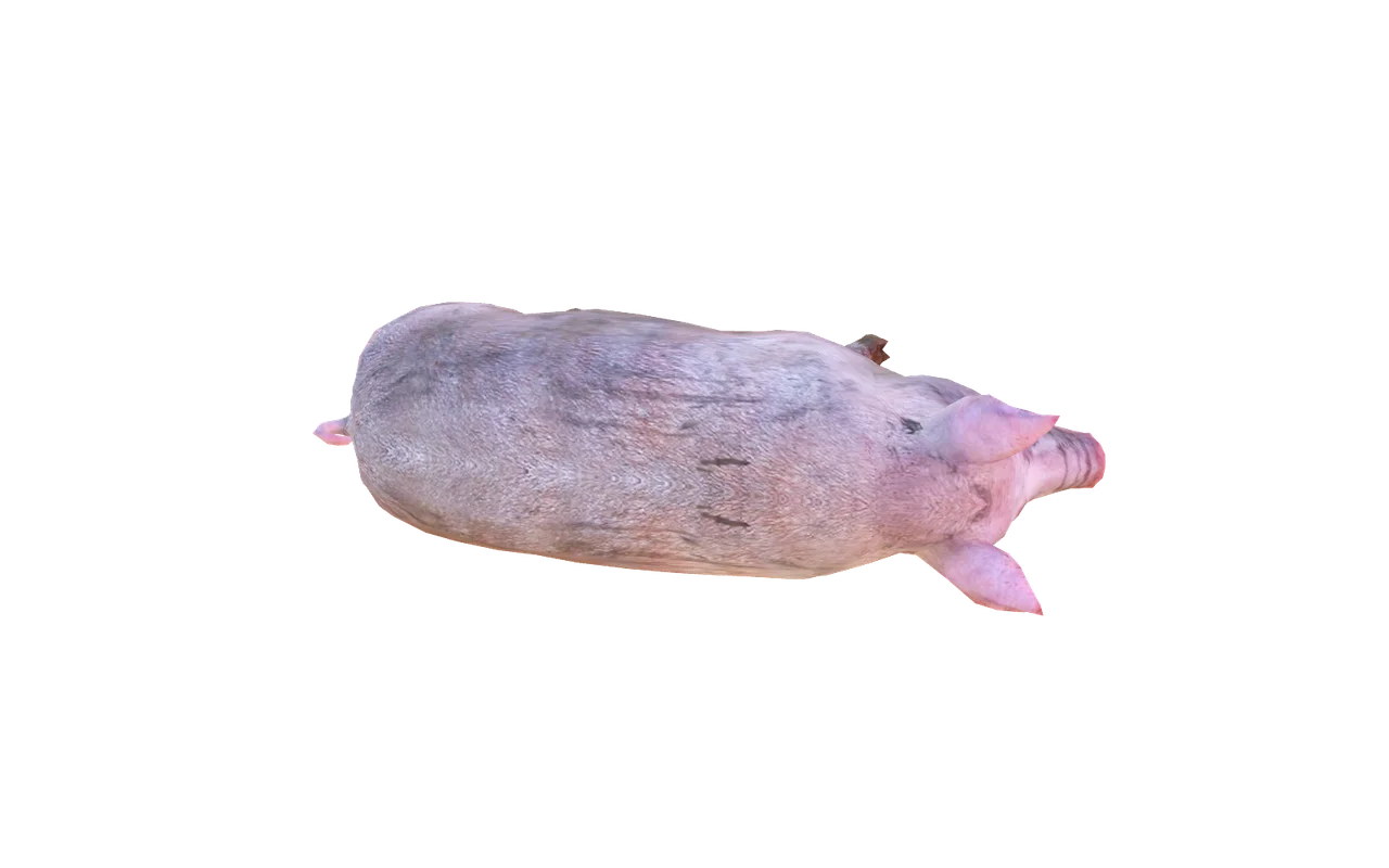 Bridge Pig