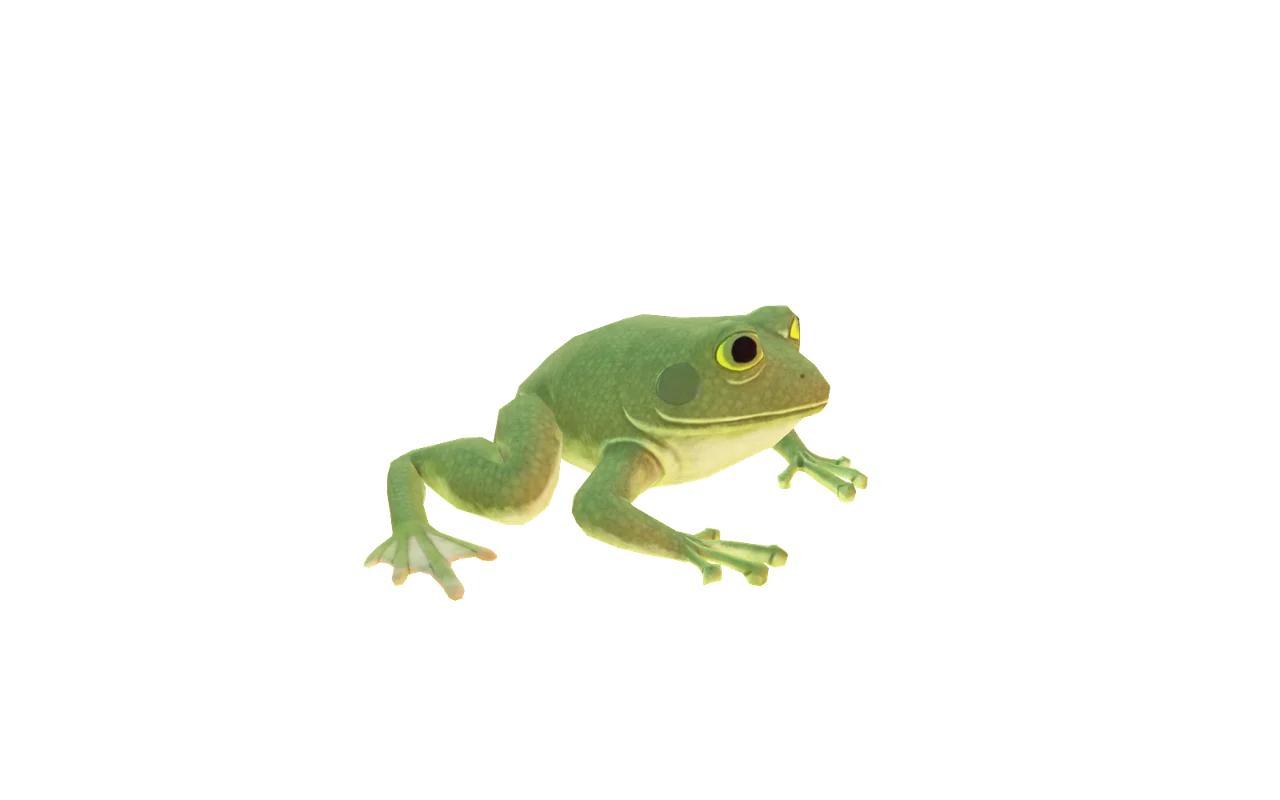 Frog Soul Container + Ribbit Sound