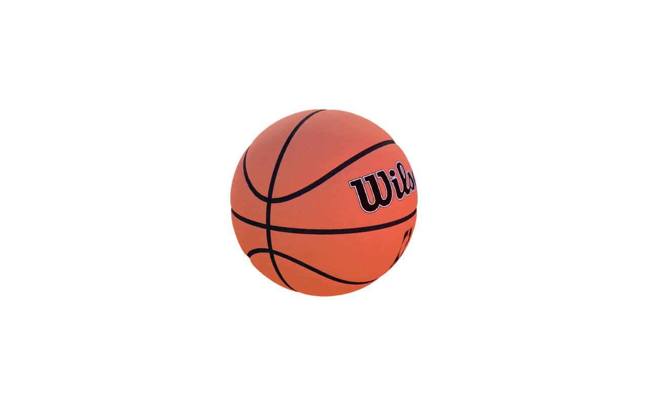 NBA Wilson Basketball Soul Container