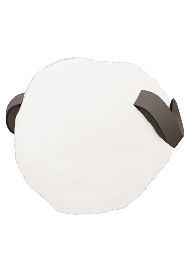 Heishou Don Quixote barrels (Limbus Company)