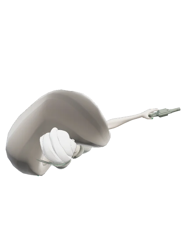 Old Geist model