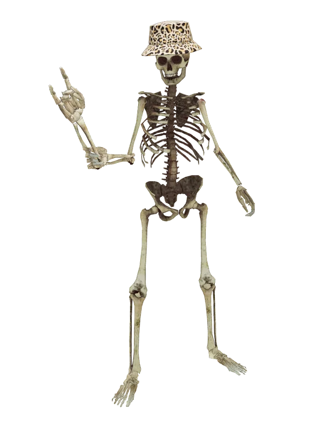 Sinclair but is skeleton with Leopard Hat
