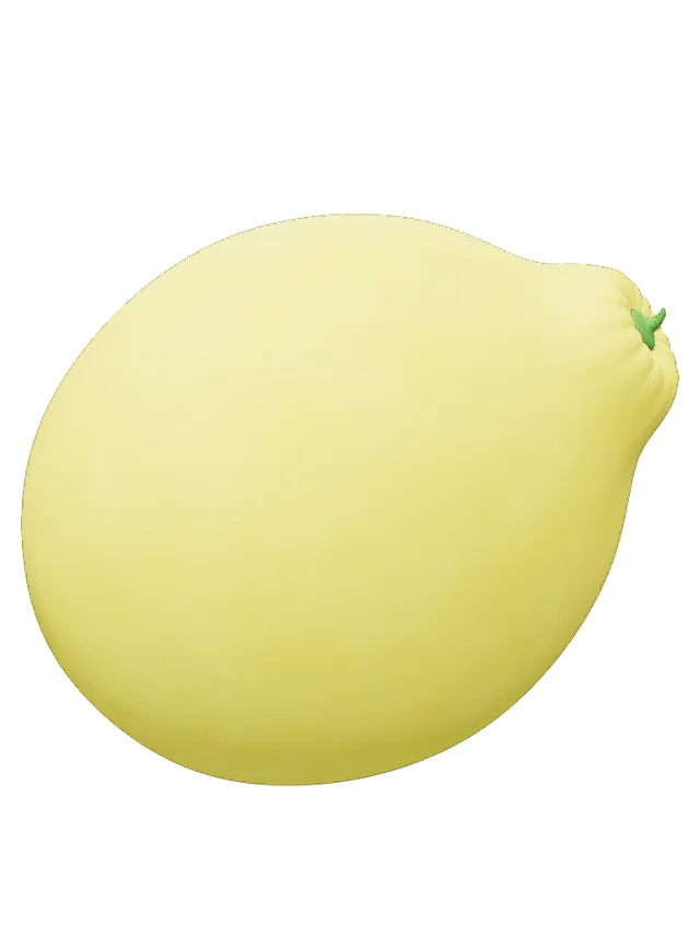 Lemon Container