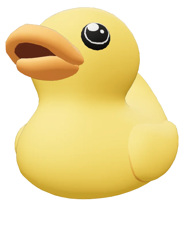Duck Journal Soul Container