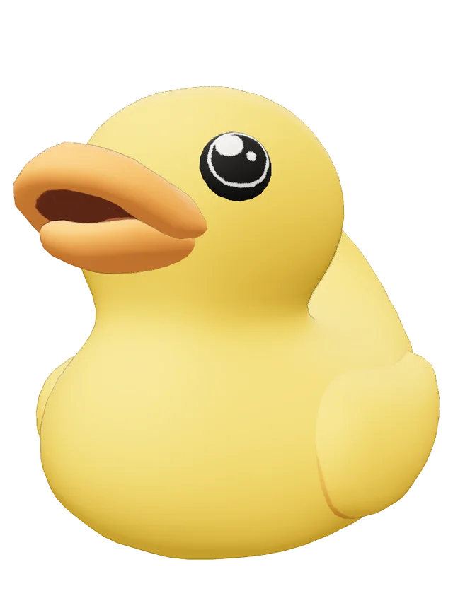 Duck Journal Soul Container