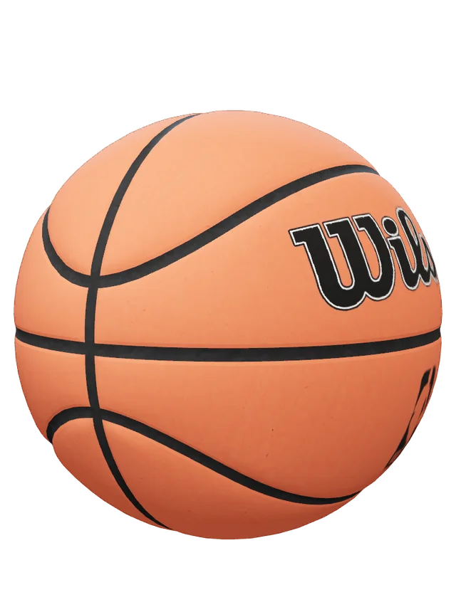 NBA Wilson Basketball Soul Container
