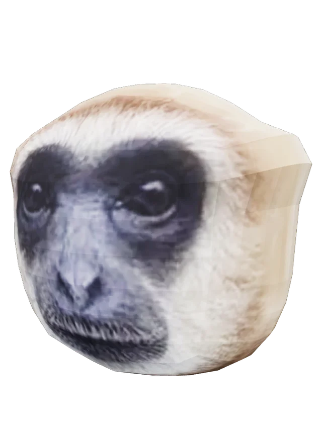 Kill 7 Billion People Gibbon Soul Container