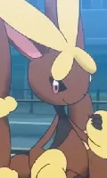 Holliday top bar portrait from Mega Lopunny Holliday