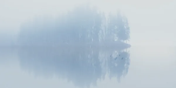 Haze weapon image from SCP Agent Haze