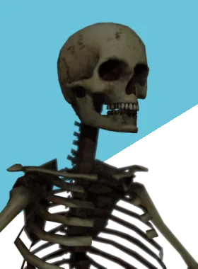 Sinclair top bar portrait from Sinclair But They're A Skeleton