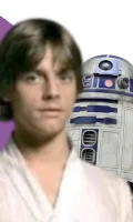 Calico top bar portrait from Luke Skywalker Calico & R2D2 Ava