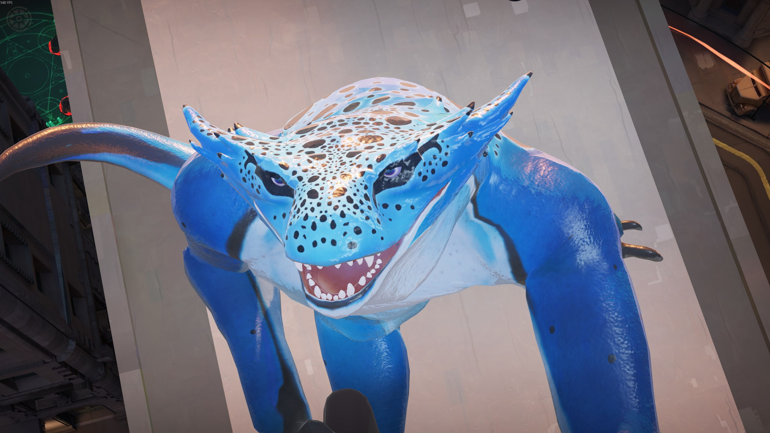 Poison Dart Frog Vyper image 2