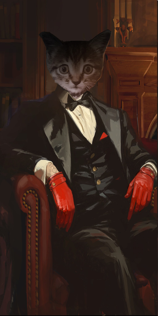 Guppy cat portraits