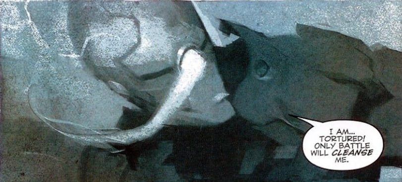 GRAY FOX / Yamato image 6