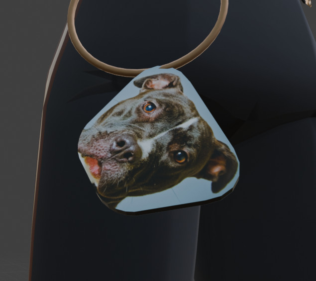 Doorbull (Pitbull Doorman) image 4