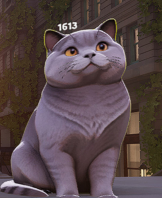 British Shorthair Soul Container