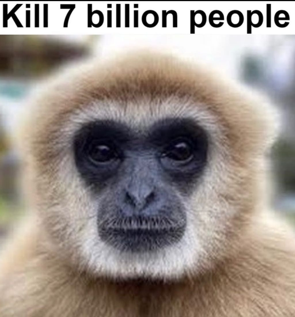Kill 7 Billion People Gibbon Soul Container image 7