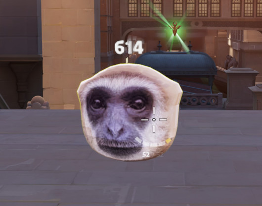 Kill 7 Billion People Gibbon Soul Container