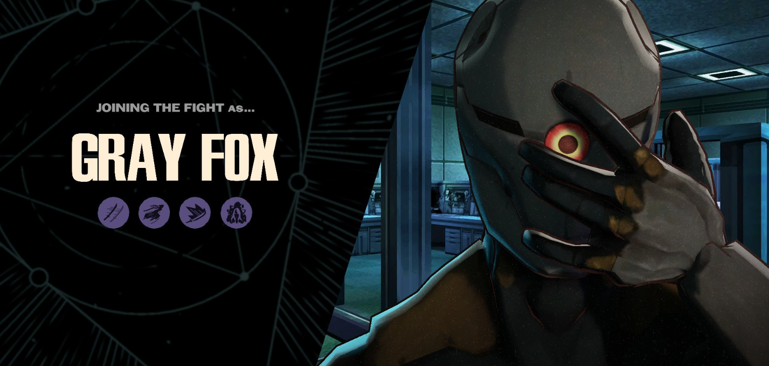 GRAY FOX / Yamato image 2