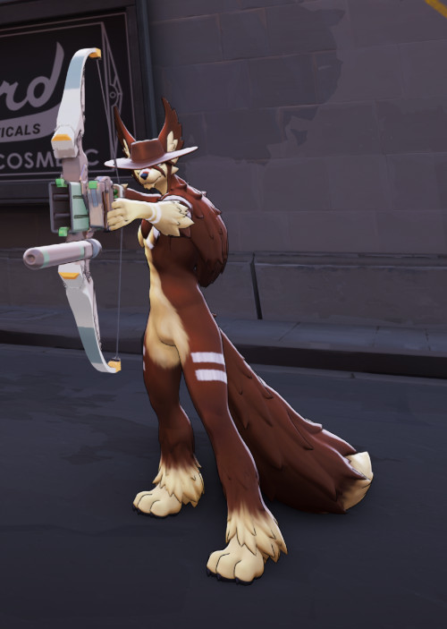 Coyote Grey Talon image 4