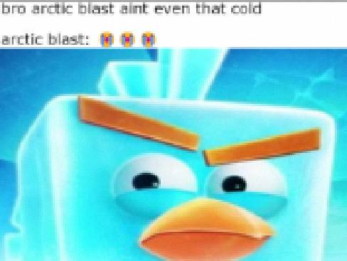 Icebird over Arctic Blast