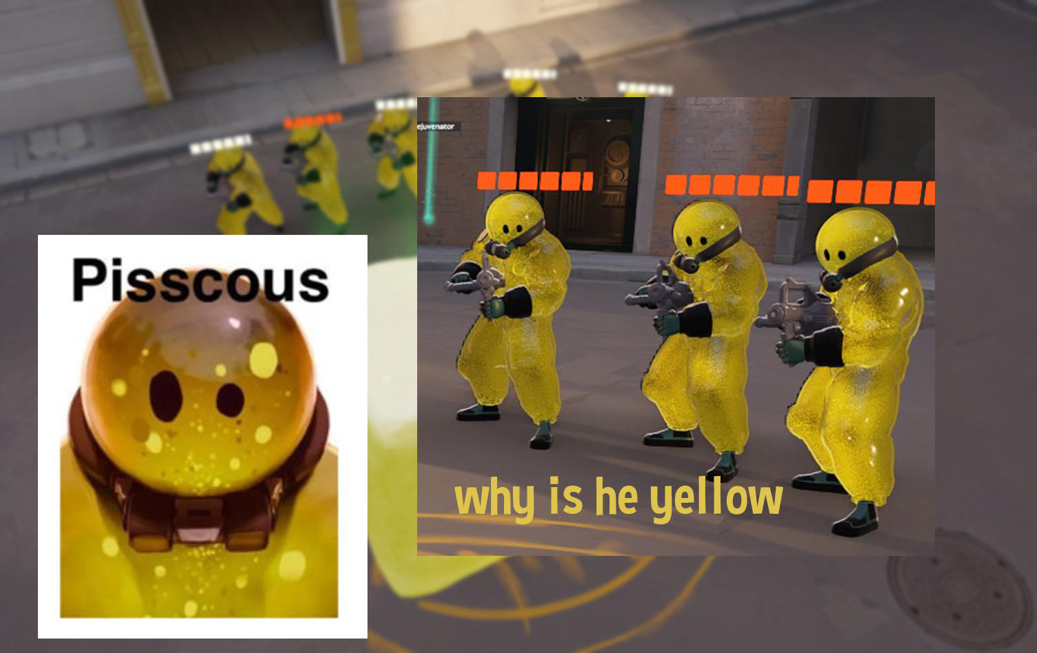 pisscous image 4